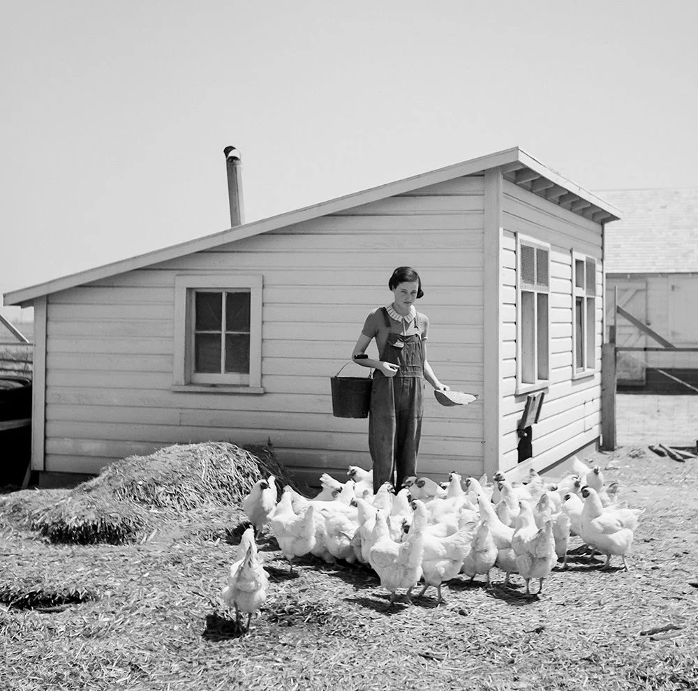 Coffee Table Book - Denim: The Fabric That Built America, 1935–1944 - Image 3